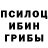 Галлюциногенные грибы Magic Shrooms Nagy Levi