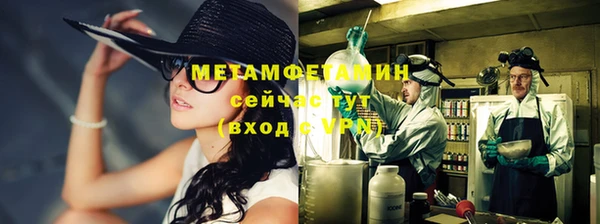дмт Богданович