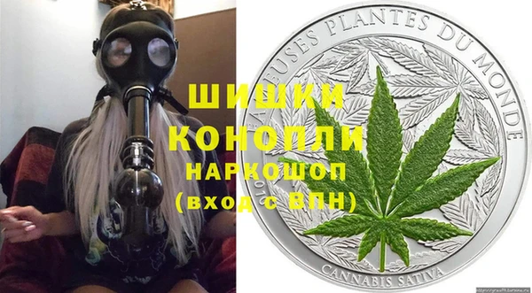 дмт Богданович