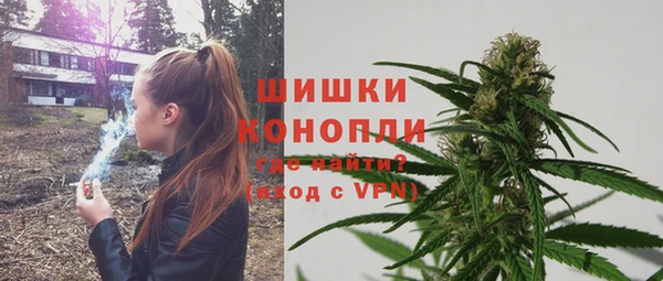дмт Богданович