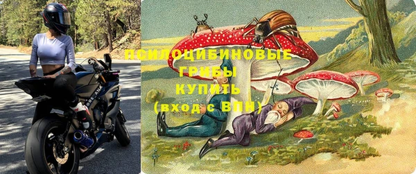 трава Богородицк