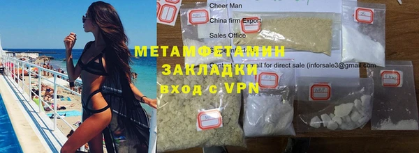 дмт Богданович