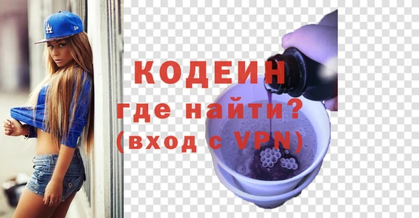 дмт Богданович